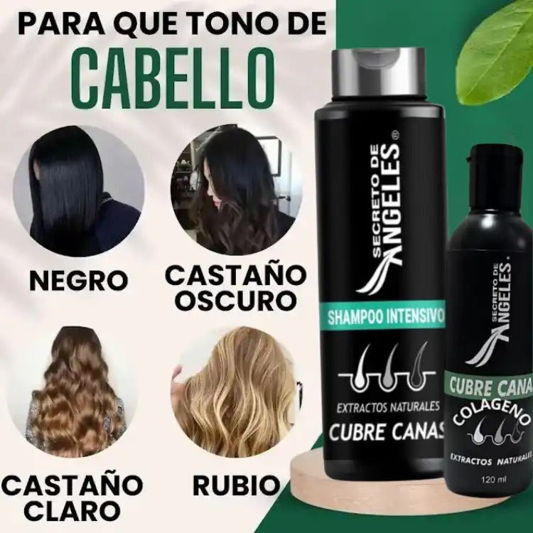 Shampoo cubre canas !Dile a dios a las canas!