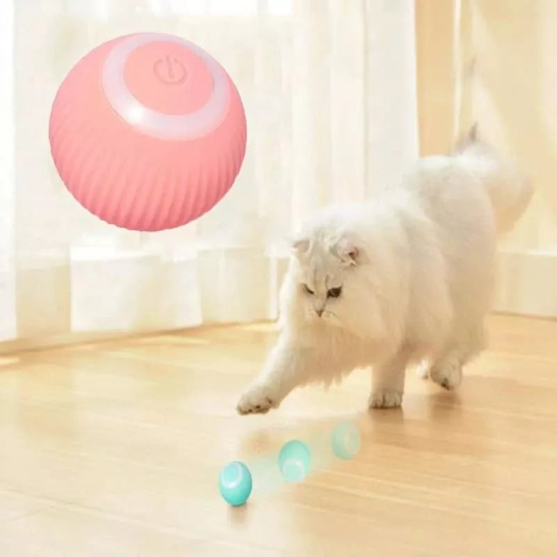 Pelota Gravitacional: Diversión Interactiva para Gatos
