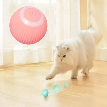 Pelota Gravitacional: Diversión Interactiva para Gatos