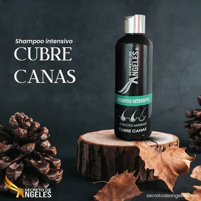 Shampoo cubre canas !Dile a dios a las canas!